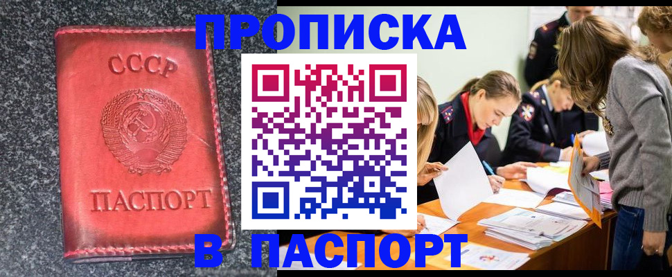 прописка для школы в Светогорске